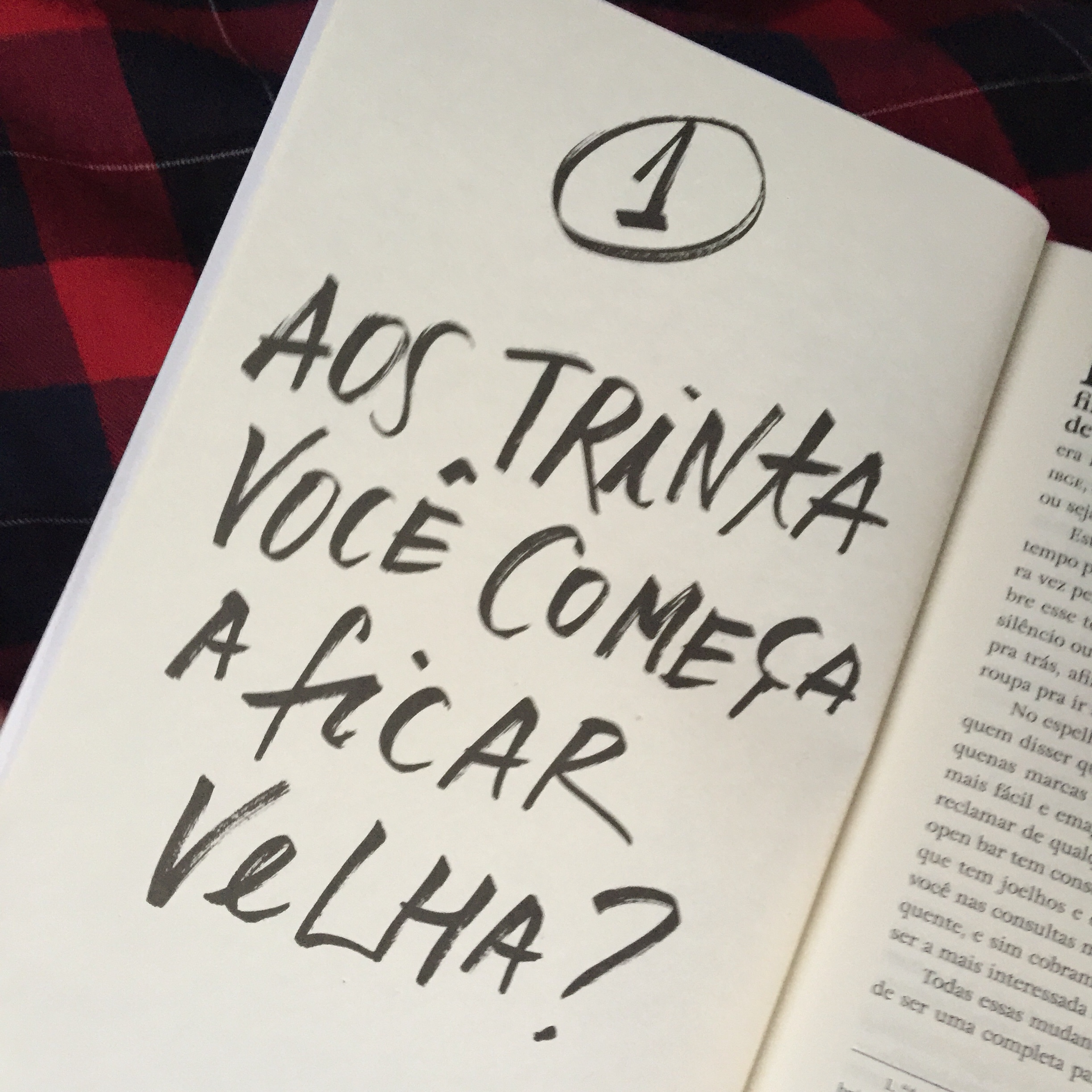 Enfim, 30 - Um livro para não entrar em crise